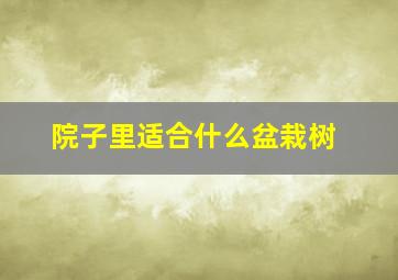 院子里适合什么盆栽树