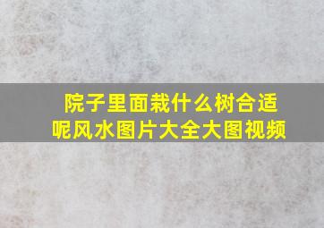 院子里面栽什么树合适呢风水图片大全大图视频