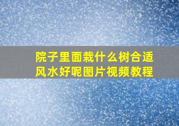 院子里面栽什么树合适风水好呢图片视频教程