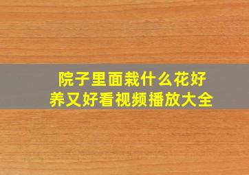 院子里面栽什么花好养又好看视频播放大全