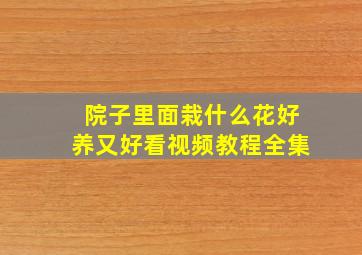 院子里面栽什么花好养又好看视频教程全集