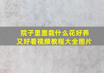 院子里面栽什么花好养又好看视频教程大全图片