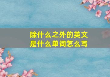 除什么之外的英文是什么单词怎么写