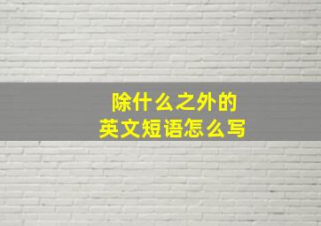 除什么之外的英文短语怎么写