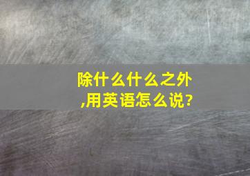 除什么什么之外,用英语怎么说?