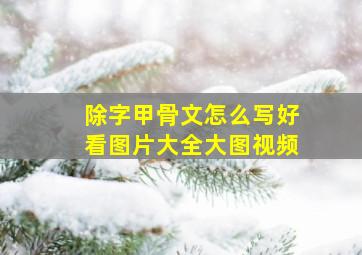 除字甲骨文怎么写好看图片大全大图视频