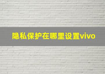 隐私保护在哪里设置vivo