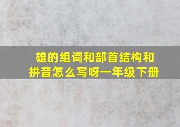 雄的组词和部首结构和拼音怎么写呀一年级下册