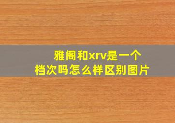 雅阁和xrv是一个档次吗怎么样区别图片