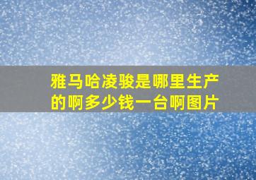 雅马哈凌骏是哪里生产的啊多少钱一台啊图片