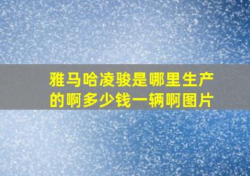 雅马哈凌骏是哪里生产的啊多少钱一辆啊图片