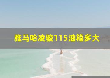 雅马哈凌骏115油箱多大