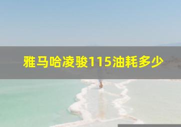 雅马哈凌骏115油耗多少