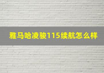 雅马哈凌骏115续航怎么样