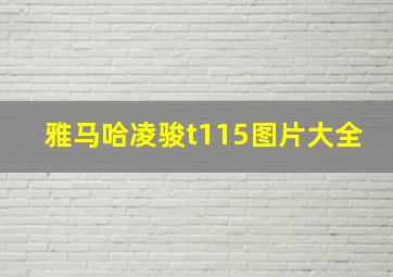 雅马哈凌骏t115图片大全