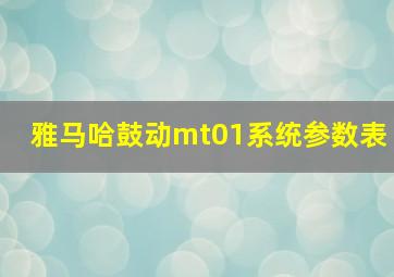 雅马哈鼓动mt01系统参数表