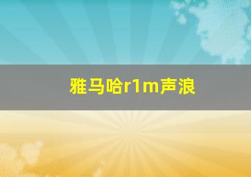 雅马哈r1m声浪