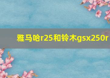 雅马哈r25和铃木gsx250r