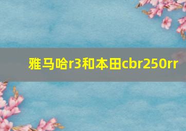 雅马哈r3和本田cbr250rr