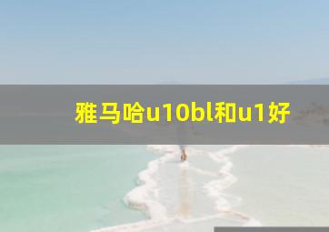 雅马哈u10bl和u1好