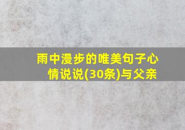 雨中漫步的唯美句子心情说说(30条)与父亲