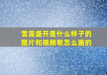 雪莲盛开是什么样子的图片和视频呢怎么画的