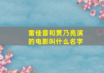 雷佳音和贾乃亮演的电影叫什么名字