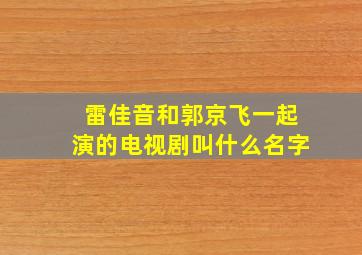 雷佳音和郭京飞一起演的电视剧叫什么名字