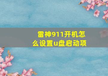 雷神911开机怎么设置u盘启动项