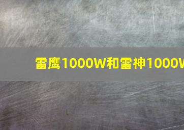 雷鹰1000W和雷神1000W