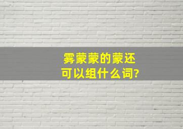 雾蒙蒙的蒙还可以组什么词?