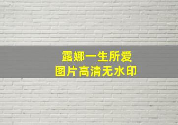 露娜一生所爱图片高清无水印