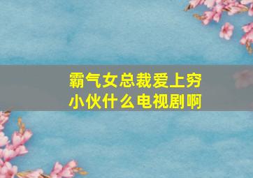 霸气女总裁爱上穷小伙什么电视剧啊