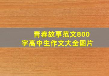 青春故事范文800字高中生作文大全图片