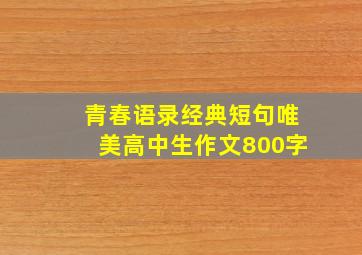 青春语录经典短句唯美高中生作文800字