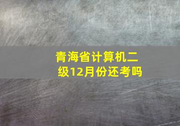 青海省计算机二级12月份还考吗