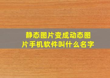 静态图片变成动态图片手机软件叫什么名字