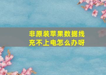 非原装苹果数据线充不上电怎么办呀