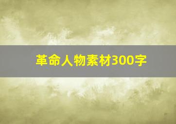 革命人物素材300字