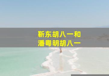 靳东胡八一和潘粤明胡八一