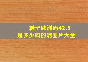 鞋子欧洲码42.5是多少码的呢图片大全