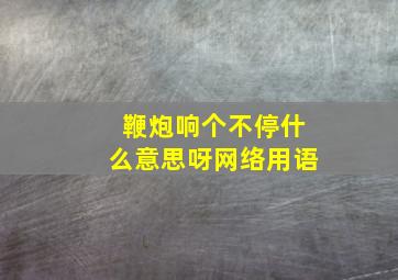 鞭炮响个不停什么意思呀网络用语