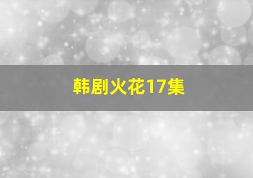 韩剧火花17集