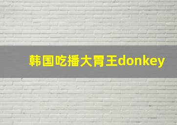 韩国吃播大胃王donkey