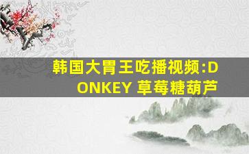 韩国大胃王吃播视频:DONKEY 草莓糖葫芦