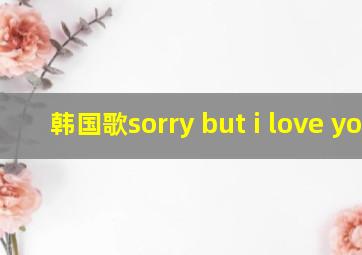 韩国歌sorry but i love you