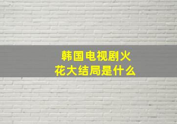 韩国电视剧火花大结局是什么