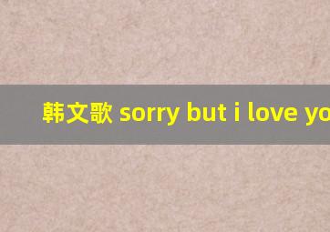 韩文歌 sorry but i love you