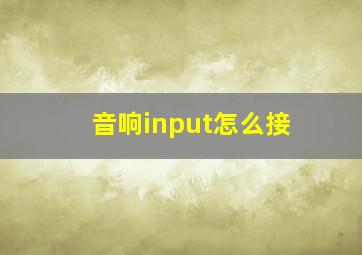 音响input怎么接