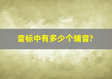 音标中有多少个辅音?